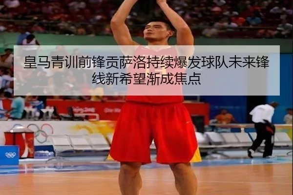 img_1784038458057_693_1_834.jpg